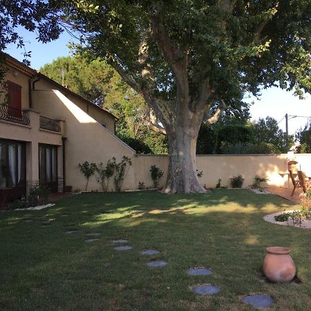 Mas Halcyon Provence Bed & Breakfast Avignon Eksteriør bilde
