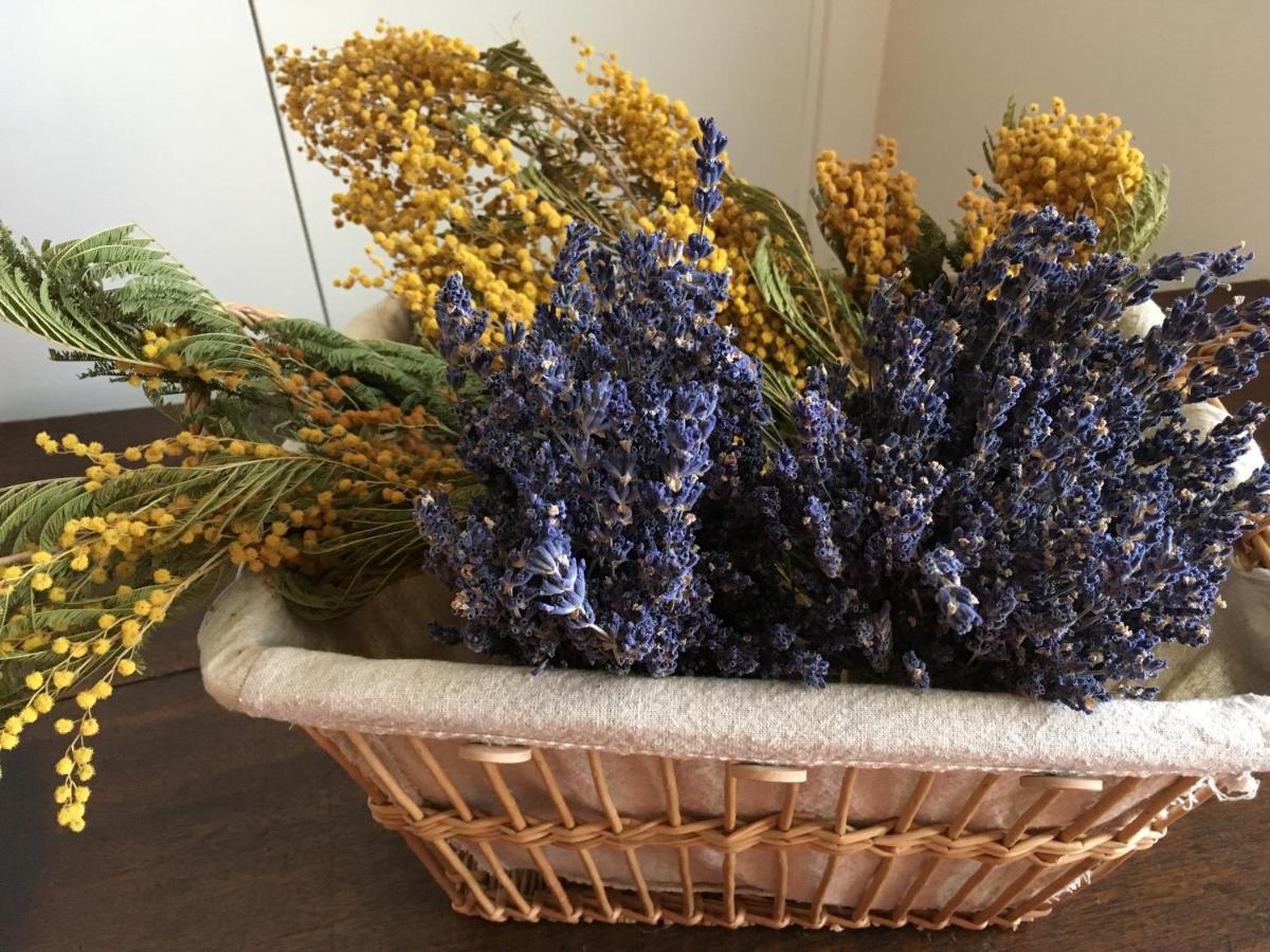Mas Halcyon Provence Bed & Breakfast Avignon Eksteriør bilde